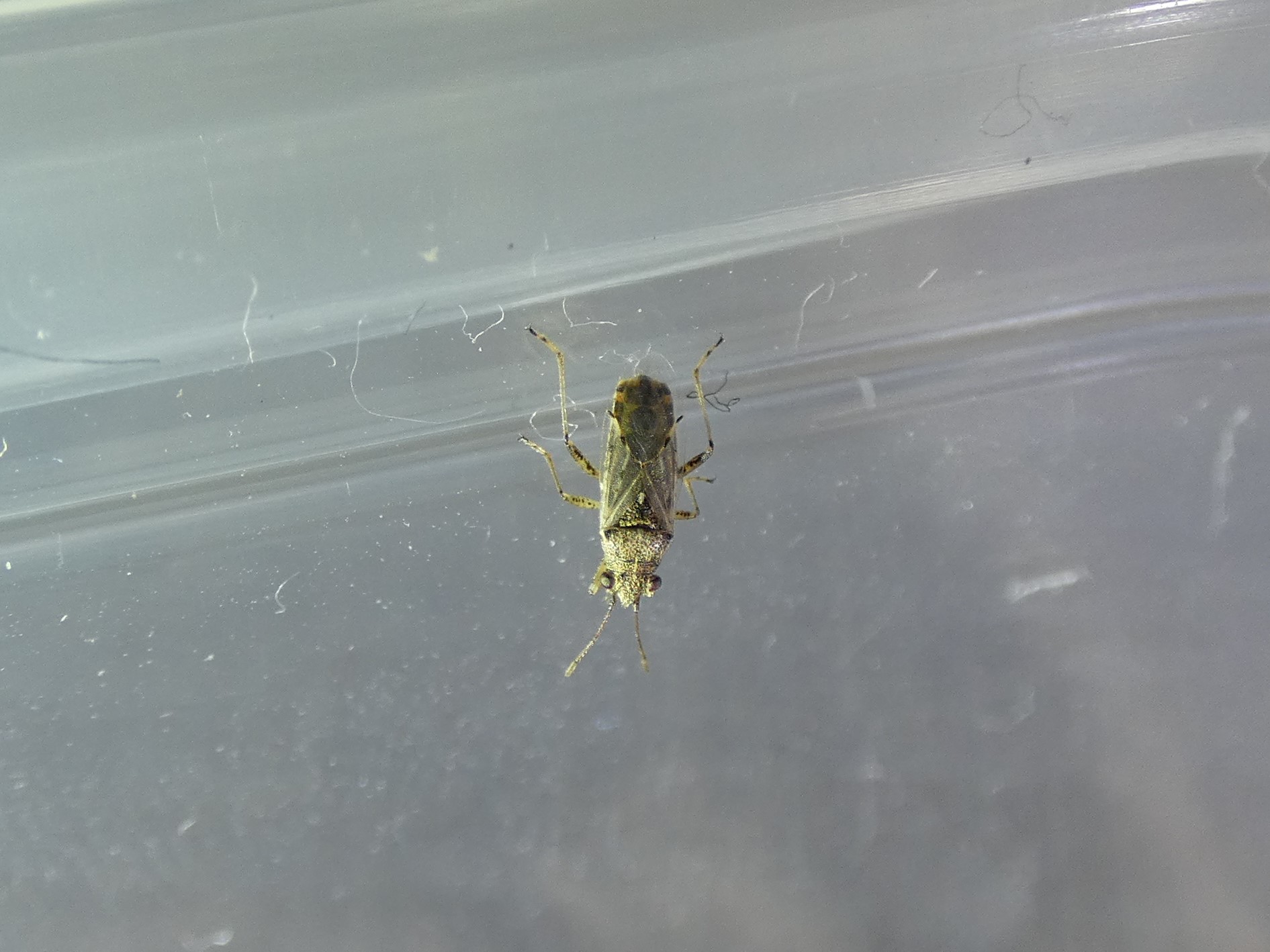 photo_3